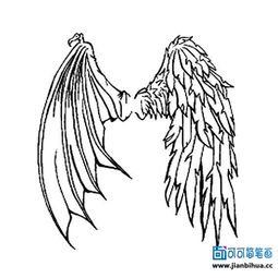 怎么画翅膀