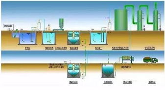 氨氮污水处理方法，氨氮污水处理设备 海藻 菌