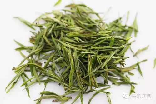 靖安白茶的介绍