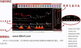 炒股需要注册什么，手机炒股注册