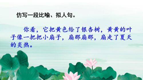 三年级下册语文书荷花课文朗读，三年级下册语文书荷花课文小练笔