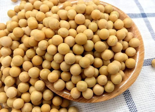 一克金豆子多大