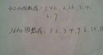 24和36的因数有哪些数，36的因数有哪些数其中奇数有