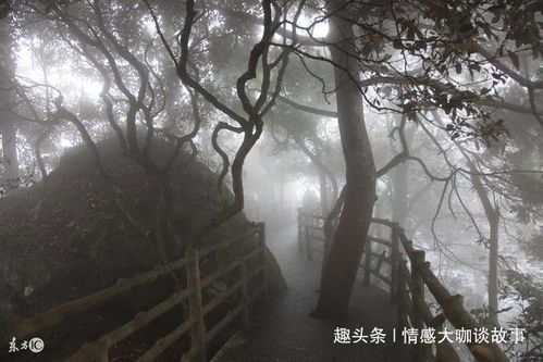 梦到和别人一起挖坟看到死人，梦到和别人一起挖坟坑