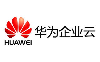 金柚网工作怎么样?