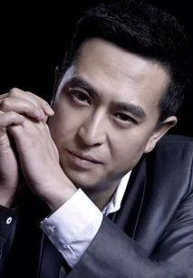 李晓峰和张嘉译演过的电视剧，张嘉译演过的电视剧全部目录
