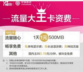 四川移动大王卡套餐介绍，移动大王卡套餐介绍19元定向流量