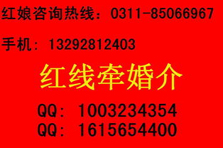 石家庄婚介所,成功率最高的是哪家?信誉比较好的?