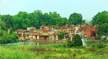 东莞茶山镇，东莞茶山核酸检测点