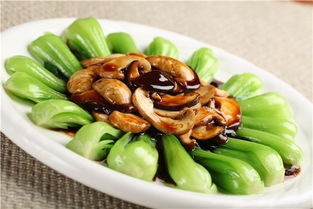 什么菜适合放蚝油吃，蚝油放哪些菜合适