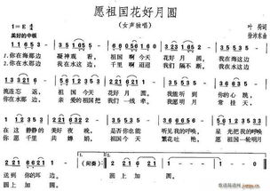 花好月圆歌词完整版，邓丽君花好月圆歌词