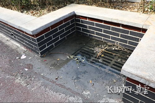 雨水井防坠网，雨水井成品