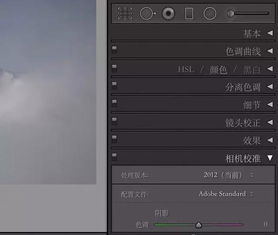 尿检项目中的“ACR”指什么?
