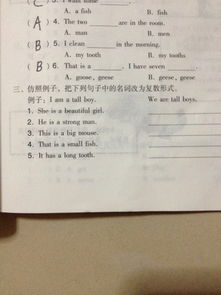 sheep的复数形式，chinese的复数形式