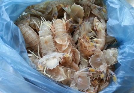 生卤虾爬子的做法和配方，盐卤虾爬子怎么做
