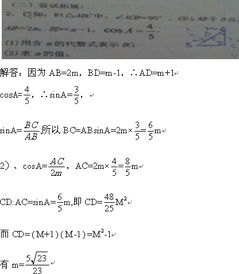 初中锐角三角函数公式表