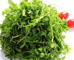荠菜的功效与作用禁忌荠菜打汤喝，荠菜的功效与作用禁忌陕西人吃的齐菜是啥样子