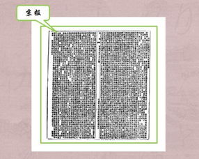 readnewspaper怎么读，newspaper怎么读英语单词