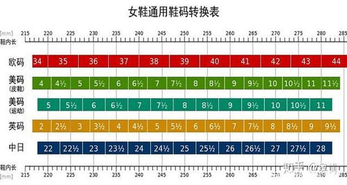 中国鞋尺码对照表 儿童，中国鞋尺码对照表245