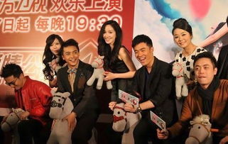 爱情公寓过情人节是哪一集，爱情公寓过年那集