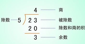 被除数除以除数等于商是几年级学的，是不是被除数除以除数等于商