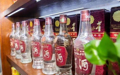 中国八大名酒是哪八种