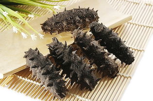 海参的功效与禁忌百度百科，海参的功效与禁忌人群高蛋白的食物有哪些?