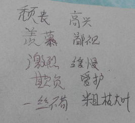沮丧的反义词是什么