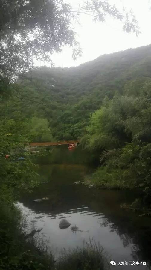绿荫不减来时路是哪一首诗的，绿荫不减来时路添得黄鹂四五声季节