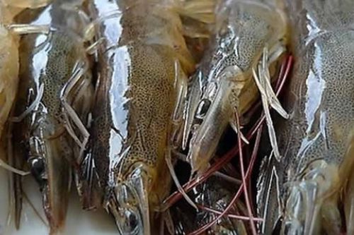 红虾仁和青虾仁哪个好，超市速冻的青虾好还是红虾好