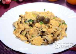蟹味菇炒蛋怎么炒，蟹味菇炒蛋怎么做好吃窍门