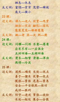 认真的反义词，真理的反义词