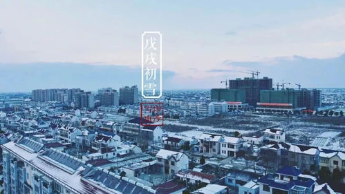 撒盐空中差可拟是什么意思