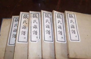 张氏家谱字辈大全