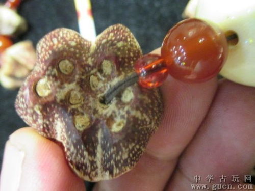 滴血莲花手串价格与图片，滴血莲花怎么盘