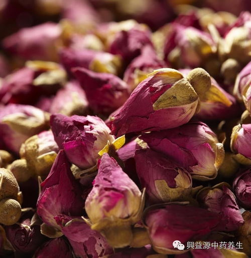 玫瑰花水的功效与作用