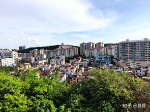顺德有什么好玩的地方景点推荐，顺德有什么好玩的地方免费