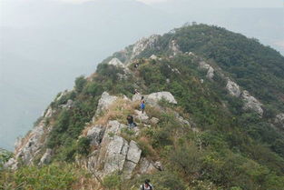 深圳排牙山在哪里，深圳排牙山封山最新消息