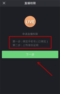 live应该怎么念?