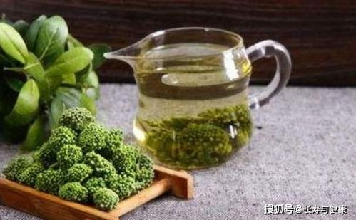 晒干的婆婆丁泡水喝的功效与作用，婆婆丁泡水喝的功效与作用管睡觉吗