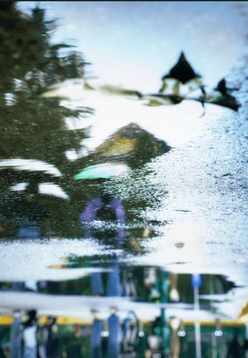 纷纷雨纪念网怎么没有了，纷纷雨纪念网关闭