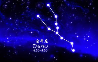 天秤座和金牛座配对吗