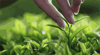 什么的柔柳填词语?