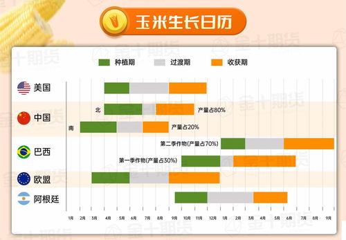 玉米的生长周期特性，玉米的生长周期分为哪几个阶段