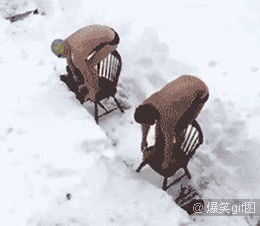 牵一发而动全身是什么意思打一生肖，牵一发而动全身是谁说的