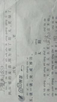 姓名造句一年级简单的10个字，姓名造句一年级简单的图片