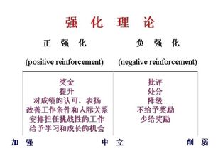 正强化和负强化的区别是什么?