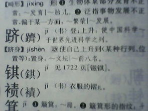 跻身是啥意思，跻身什么意思?