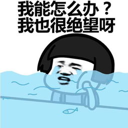 终于一词的意思是什么