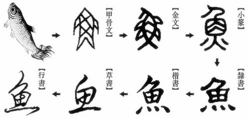 关于年的起源20字左右，年的起源和演变过程20字